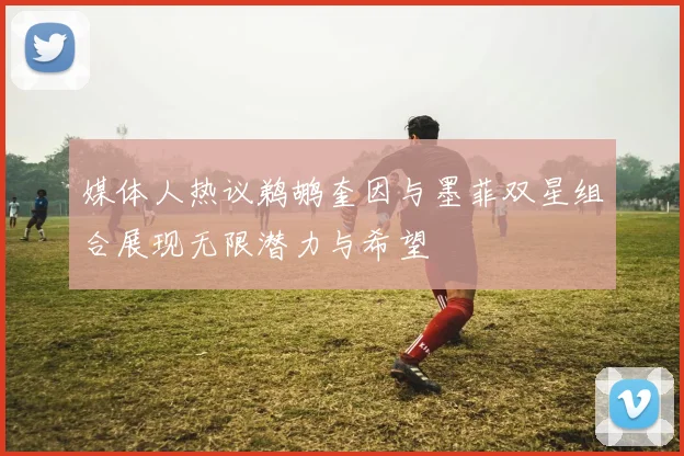 媒体人热议鹈鹕奎因与墨菲双星组合展现无限潜力与希望