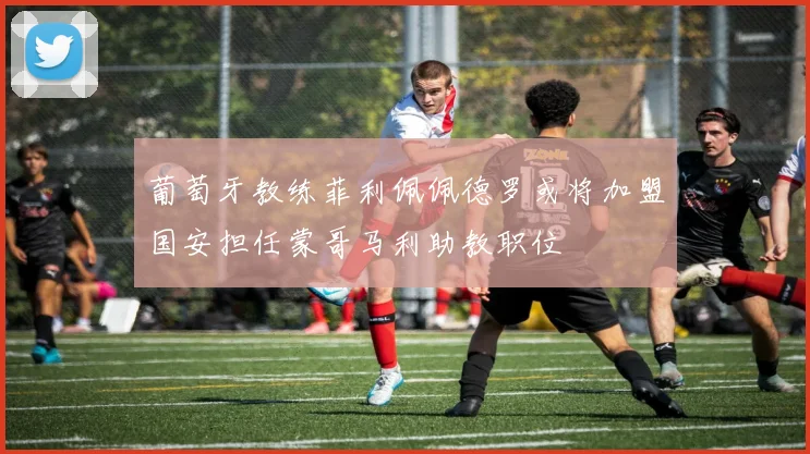 葡萄牙教练菲利佩佩德罗或将加盟国安担任蒙哥马利助教职位