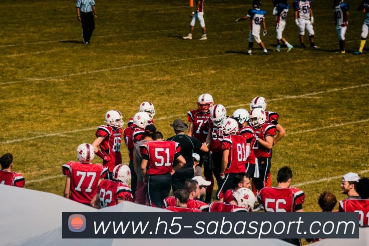 沙巴足球官网平台生态图