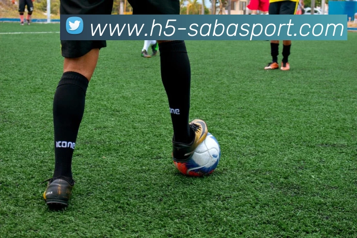 数据防护可视化